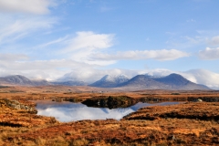 Roundstone Bog Road